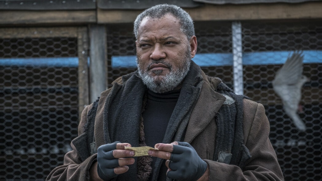 The Witcher Season 4 Casts Laurence Fishburne In Key Role