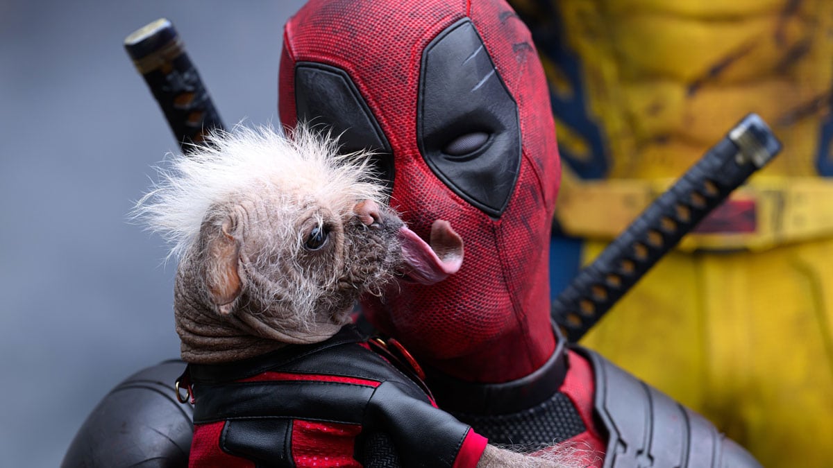 Ryan Reynolds as Deadpool with DogPool in Deadpool And Wolverine